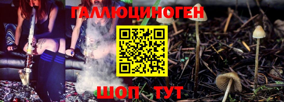 Псилоцибиновые грибы MAGIC MUSHROOMS Сафоново