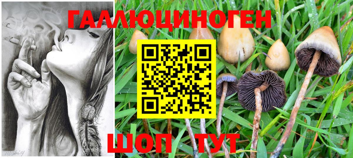 Псилоцибиновые грибы Psilocybe  Псилоцибиновые грибы Magic Shrooms  Вход с VPN  Сафоново 
