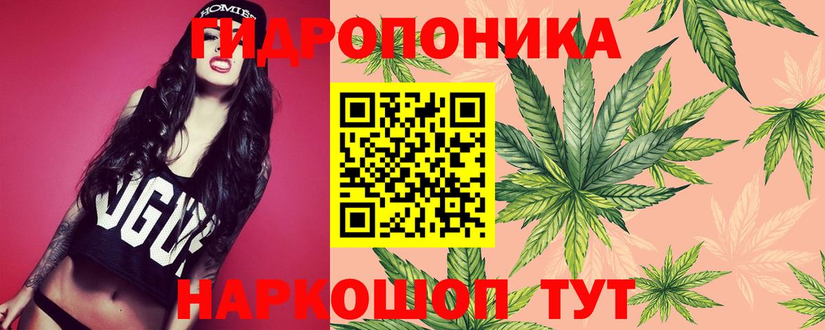 Конопля сатива  Вход с VPN  Марихуана AK-47  МАРИХУАНА MAZAR  Бошки Шишки Amnesia  Сафоново 
